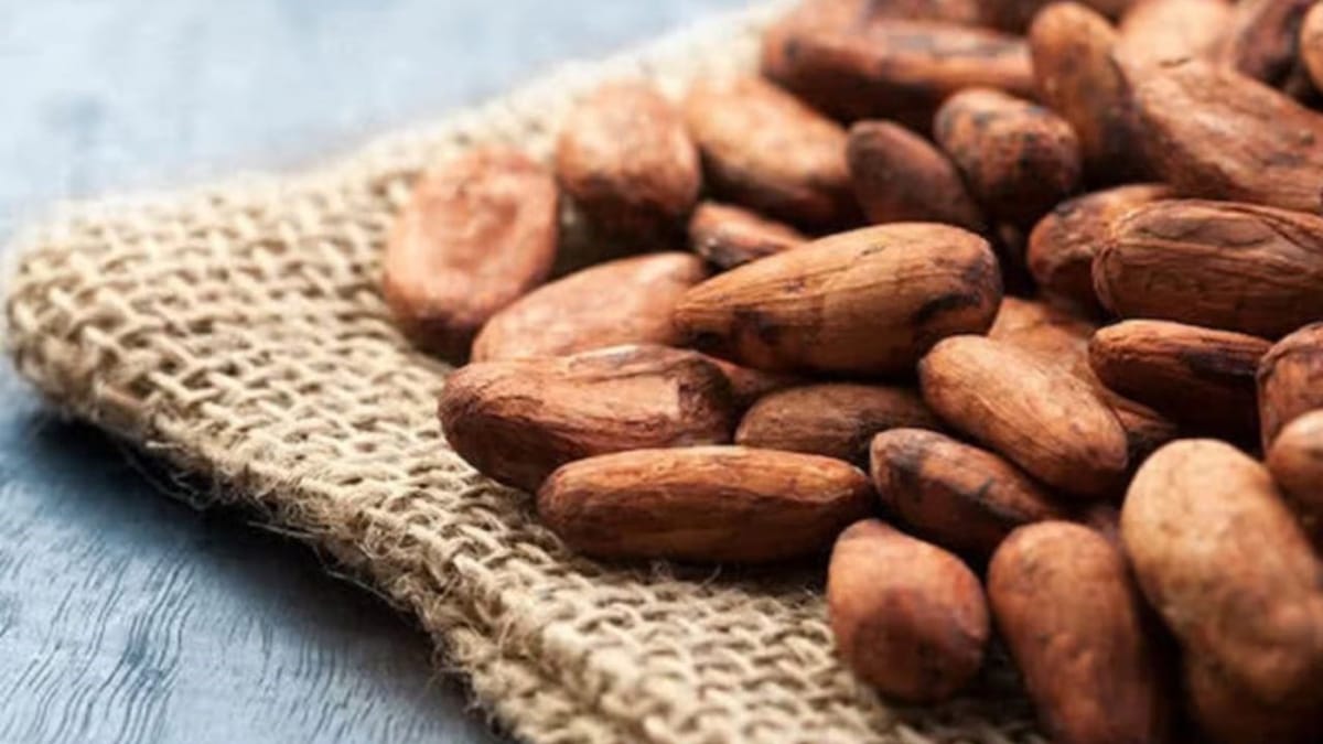 Le Nigeria mise sur la transformation locale du cacao pour booster son économie